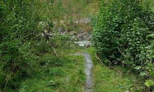 bilde fra skredområdet i Brennelv 15.8.2024. Foto: Porsanger kommune.