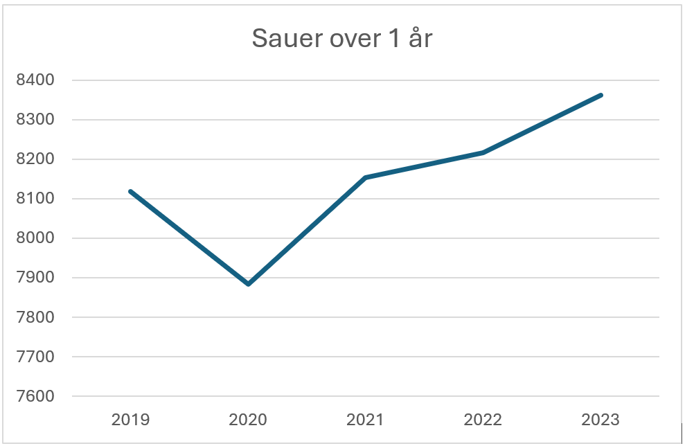 Utviklinga for tal sauer over eitt år i kommunen syner ein markant nedgang i 2020 og ein god stigning etter det. Frå knappe 7900 til nesten 8400.