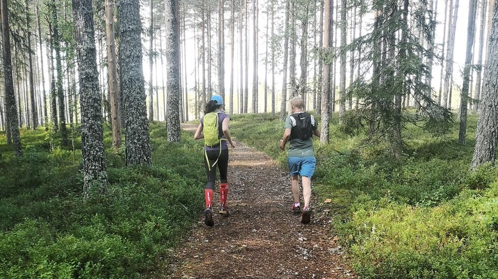 På lang utbytterik treningstur med og uten treningsklokke eller Strava sist søndag. (Foto: Rolf Bakken)