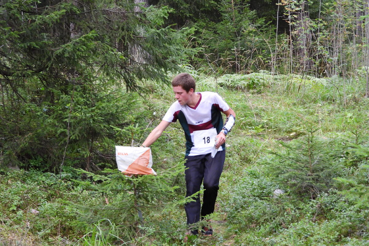 Aksel Tonjer  Fingarsen nr 2 H15-16