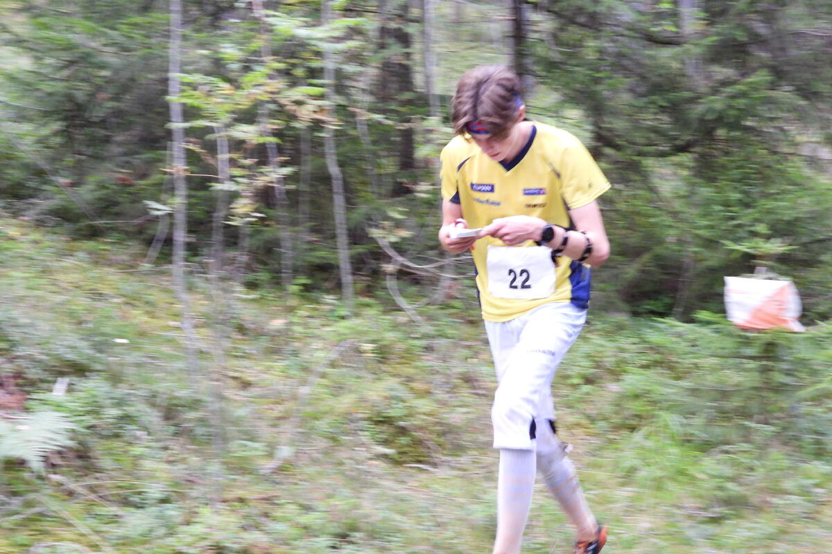 Jonas Alstad nr 3 H15-16