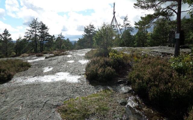 Fagerheikongen 2024 går en uge tidligere end normalt, altså 22. september 2024. (Foto: arrangøren)