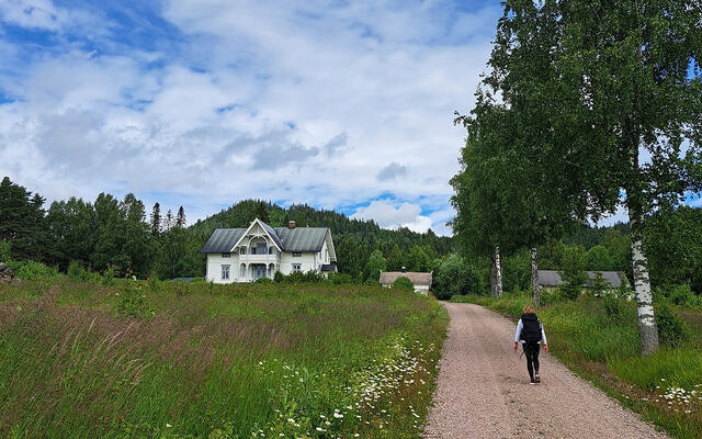 Artikkelforfatter Else Husa passerer Nedre Juvberget går på sin vandring langs Finnskogleden. (Foto: Tiny Berger Terpstra)