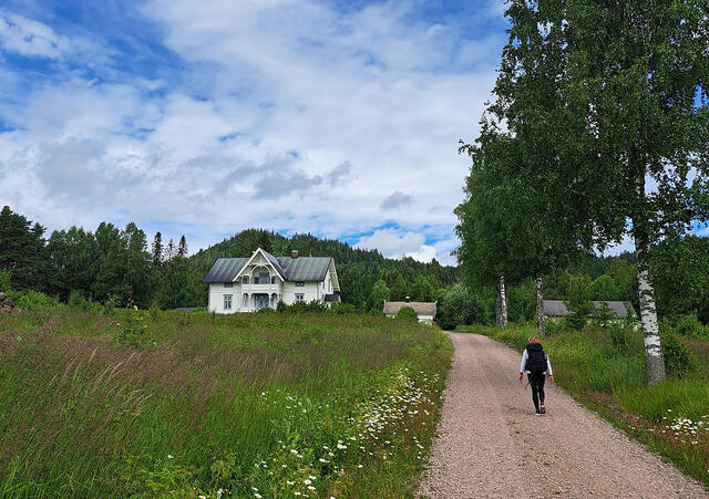 Artikkelforfatter Else Husa passerer Nedre Juvberget går på sin vandring langs Finnskogleden. (Foto: Tiny Berger Terpstra)