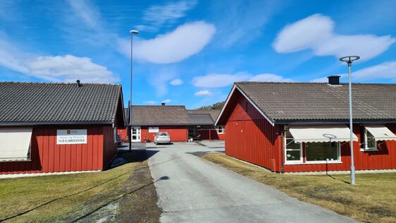Flå eldresenter