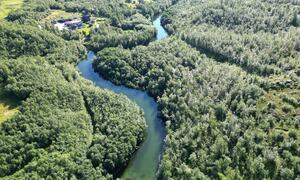 DJI_0089