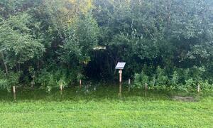 IMG_20240806_150229