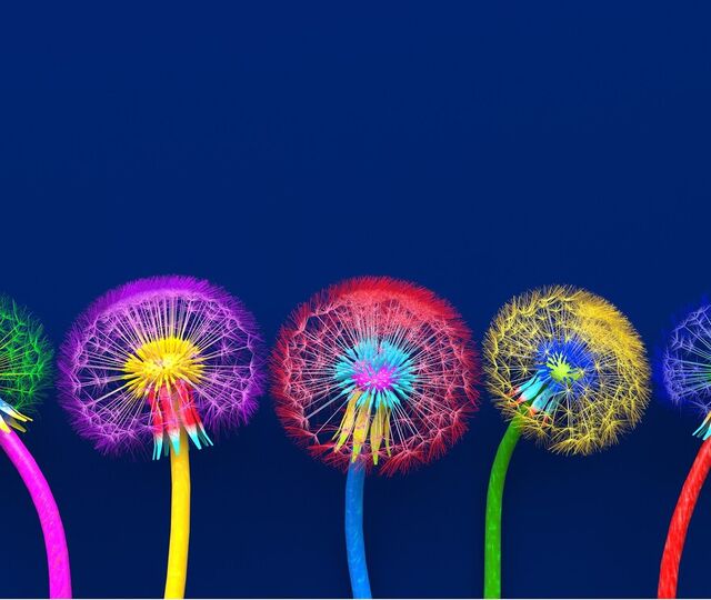 6 kreativitets-fremmende metoder