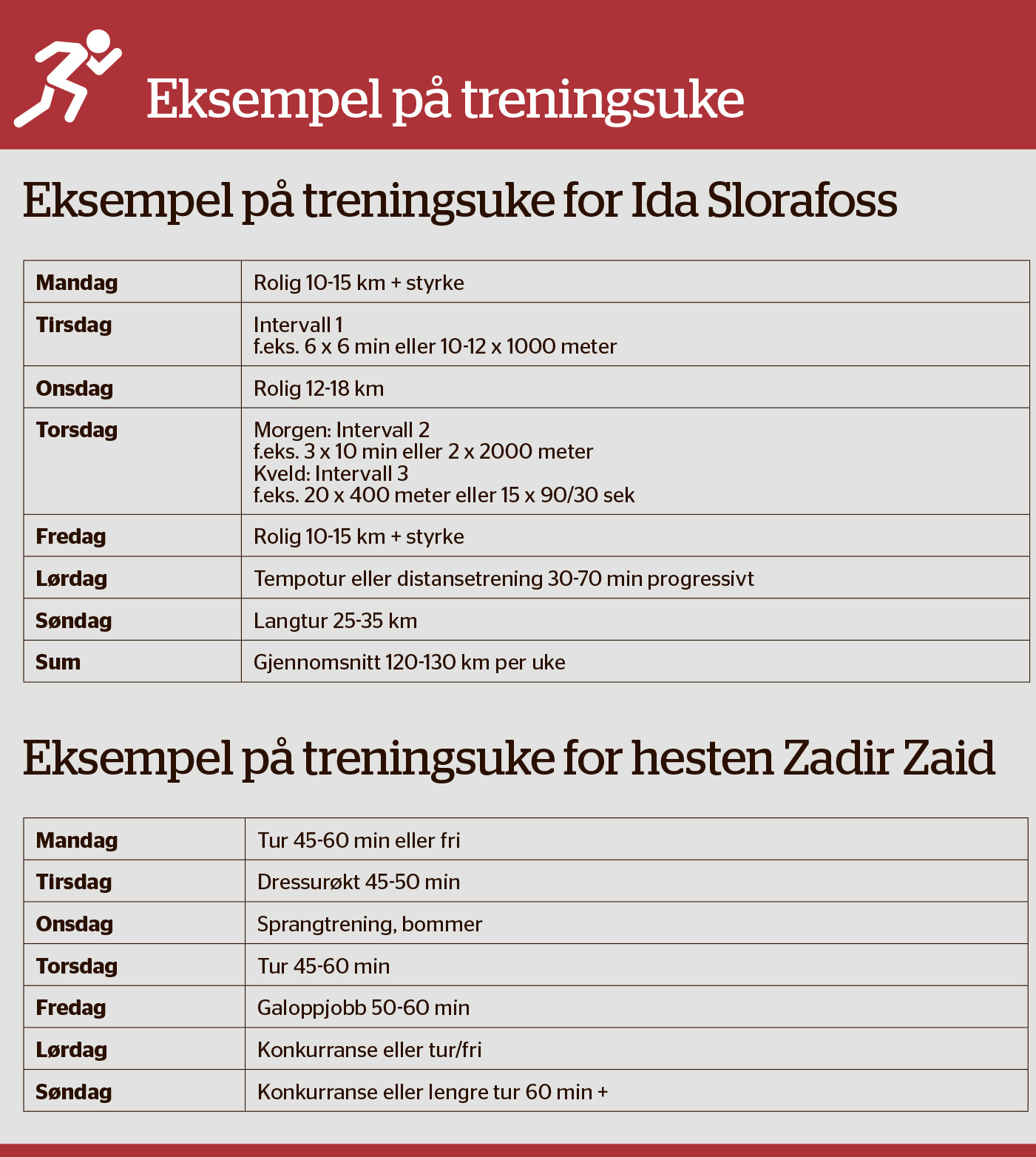 Kondis2407-16.jpg