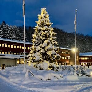 Snødekt juletre med julelys