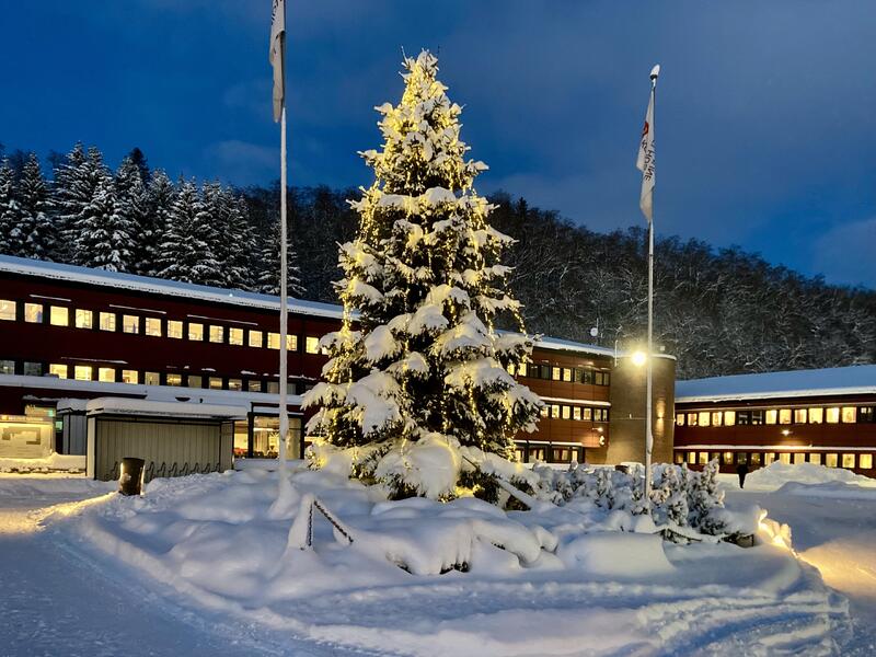 Snødekt juletre med julelys