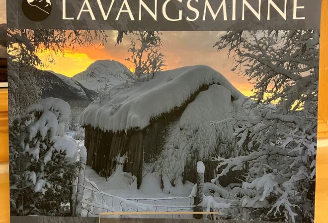 Lavangsminne 2024