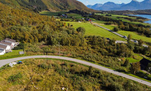 Tomt i Mølleskog