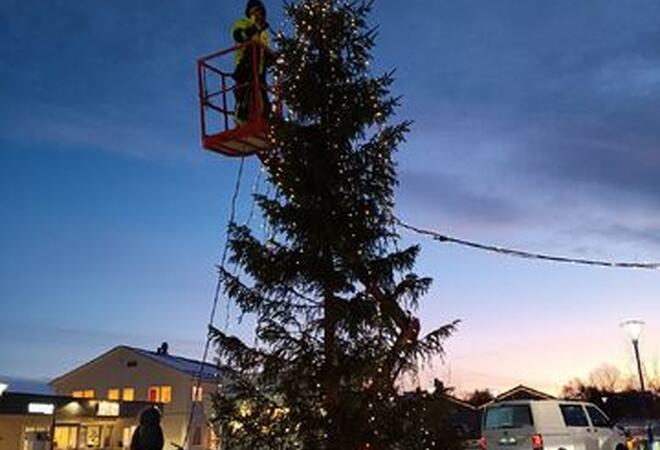 Bildet er av et grantre som det blir satt julelys på