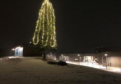 Julegrana ved helsetunet. Foto: Ellen Thuseth