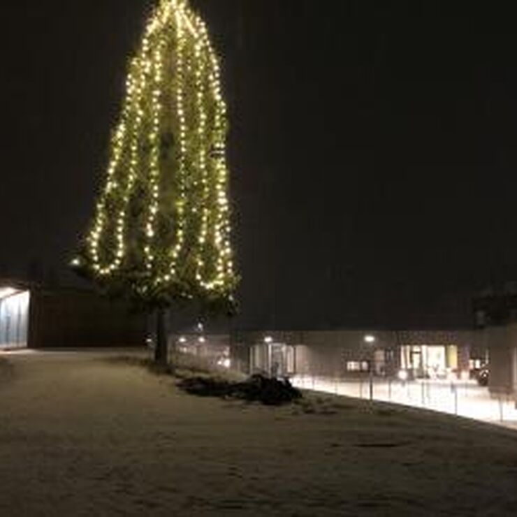 Julegrana ved helsetunet. Foto: Ellen Thuseth Julegrana ved helsetunet. Foto: Ellen Thuseth
