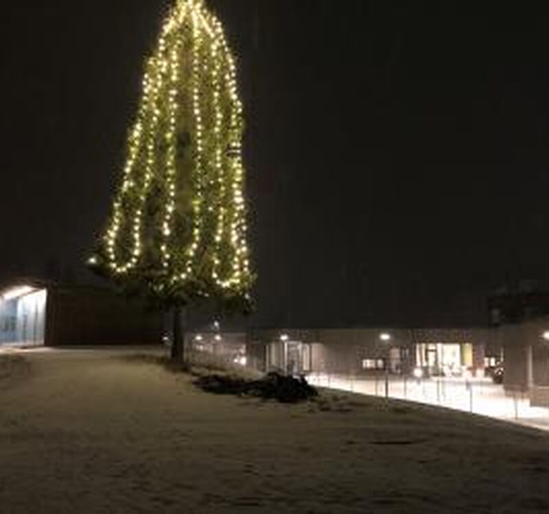 Julegrana ved helsetunet. Foto: Ellen Thuseth