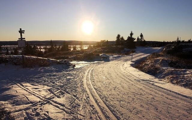 Snultrakrysset mellom Sjusjøen og Hornsjø 28. november i år. (Foto: Rolf Bakken)