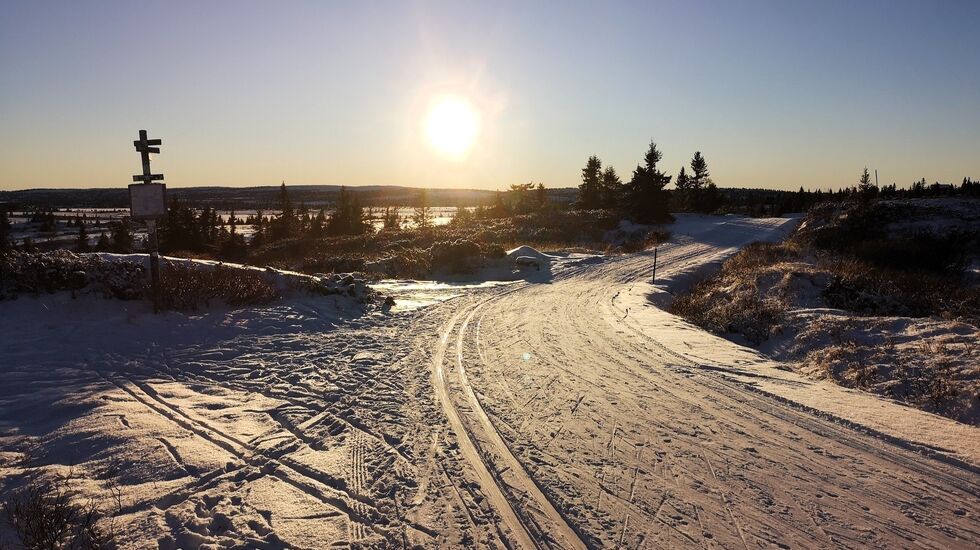 Snultrakrysset mellom Sjusjøen og Hornsjø 28. november i år. (Foto: Rolf Bakken)