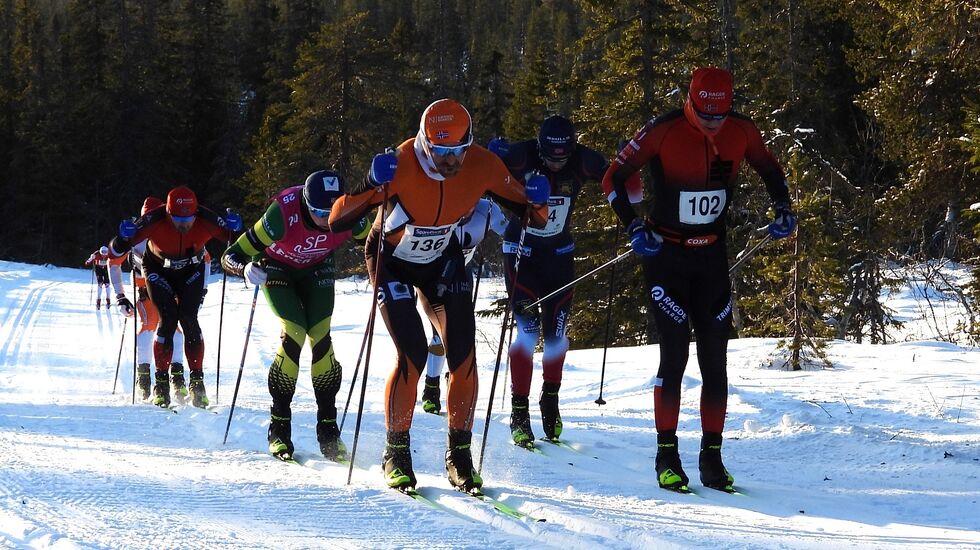 Teten etter 6 km med Johan Hoel (til høyre) og Henning Lie i front i hvert sitt spor. (Foto: Sten Arne Negård)