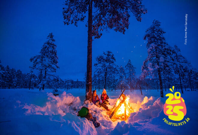 Foto: Bål og mennesker i skog