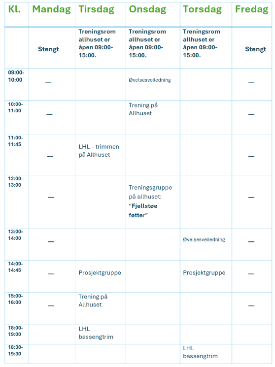 Aktivitetsplan jan. 2025