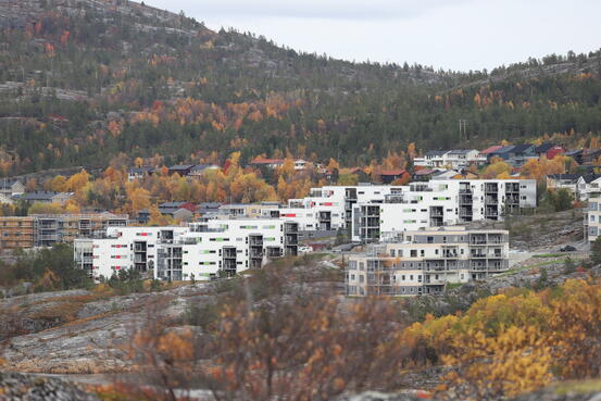 Tollevika