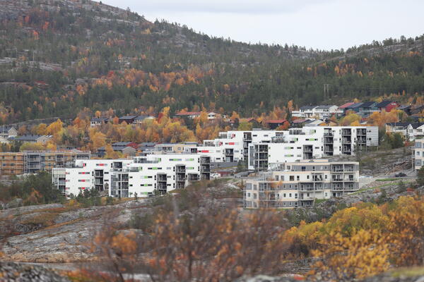 Tollevika