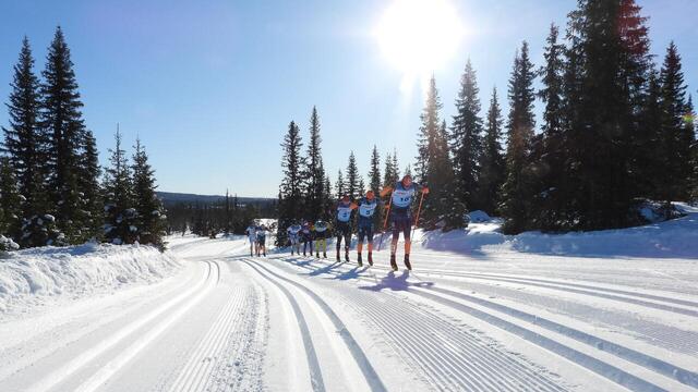 Eliten i Kvarstadlia i fjorårets Birkebeinerenn. (Foto: Stein Arne Negård)