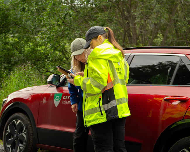 Skal du ansette ungdom til sommerjobb? Da kan du søke om tilskudd. Illustrasjonsfoto. Foto: Aksel Wråli/Orkland kommune