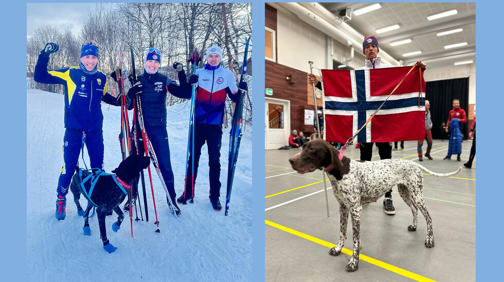 Vestlendingene som deltar i VM i hundekjøring på Røros: Klas Færøvik, Beate Vinkler-Rasmussen og Julian Vinkler-Hansen. Julian holder flagget og greysteren Chillie Pepper. (foto: privat)