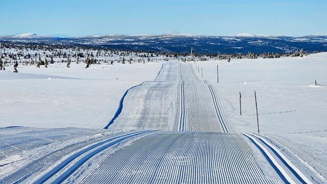 Birkebeinerløypa over Raudfjellet 28. febuar i år. (Foto: arrangøren)