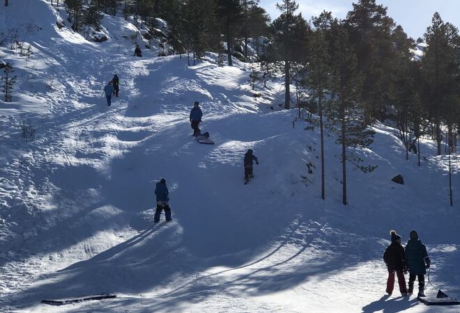 Barn i akebakken