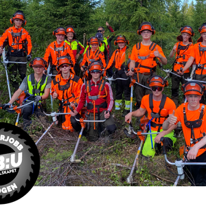 sommerjobb i skog