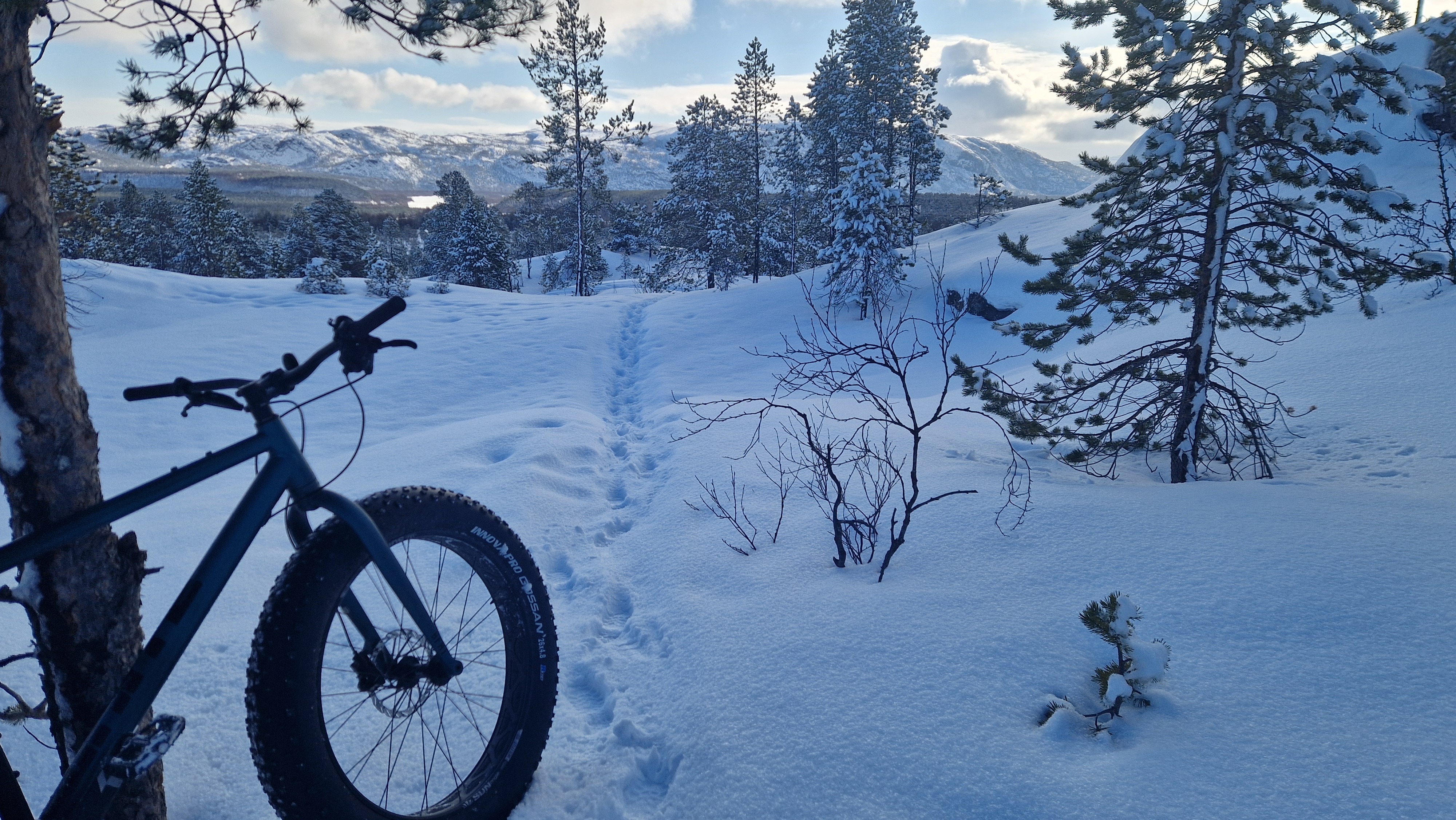 Vinter, fatbike, Gakoriløypa, landskap