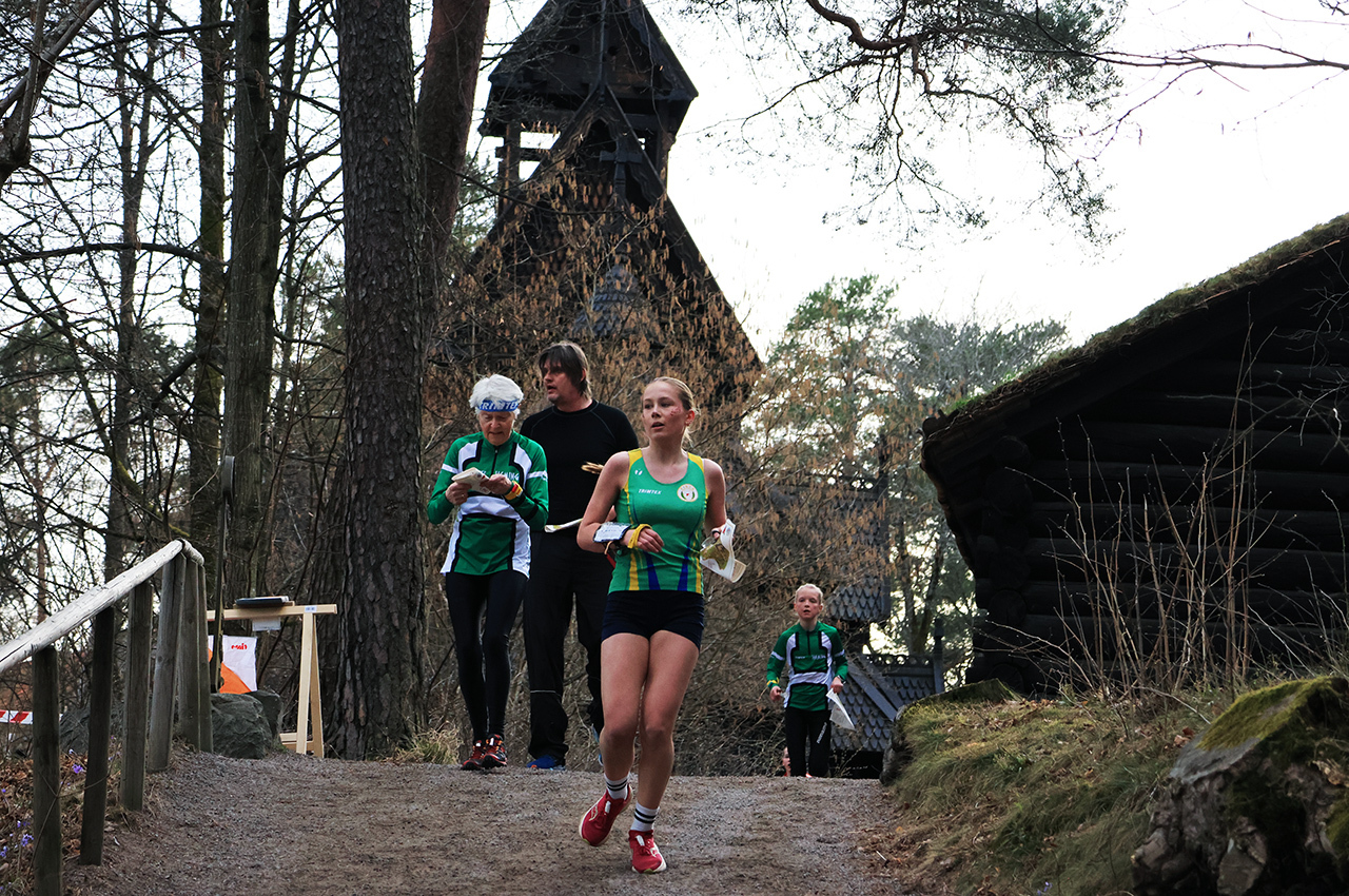 occ_7Stavkirke.jpg