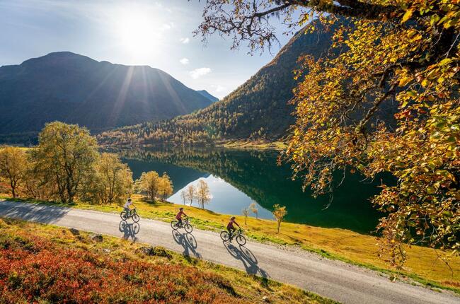 Anestølen