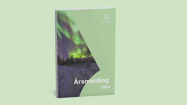 Skjermdump av forside årsmelding