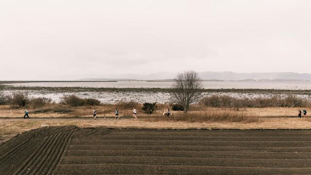 Deltakere, frivillige og publikum sørget for et feiende flott arrangement på Frosta. Her ser vi løpere på rekke og rad ut mot Trondheimsfjorden. (Foto: arrangøren)