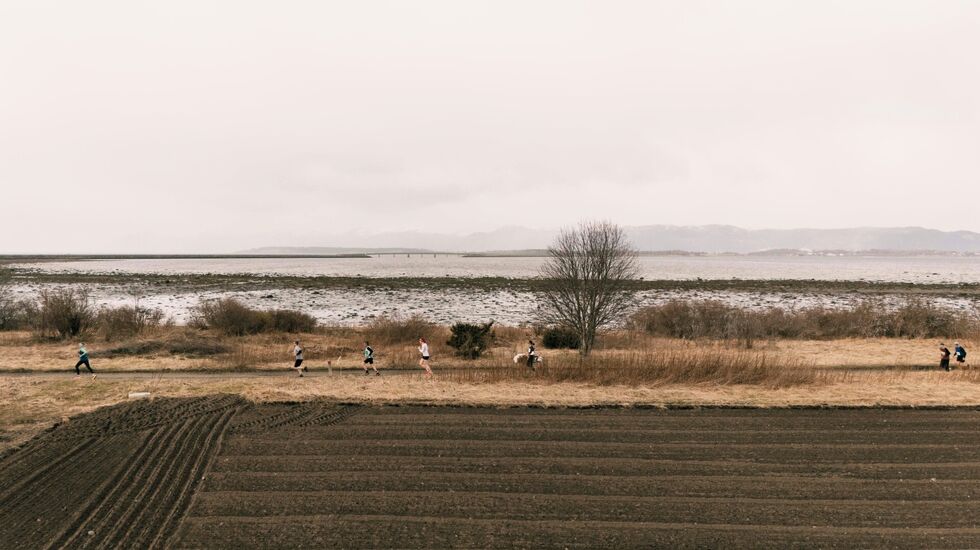 Deltakere, frivillige og publikum sørget for et feiende flott arrangement på Frosta. Her ser vi løpere på rekke og rad ut mot Trondheimsfjorden. (Foto: arrangøren)