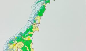 Kart som viser hvilke kommuner i landet som har eller ikke har veteranplan. Grønn markering på kommuner som har veteranplan.