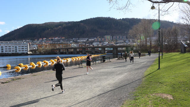 Traséen i Bykarusellen Perseløp går på den vakre gangveien langs Store Lungegårdsvann. Denne brukes mye til løpetrening og jogging. (Foto: Arne Dag Myking)