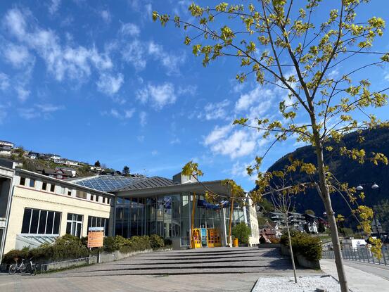 Sogndal kulturhus, blåhimmel og eit tre med nyutspunge lauv.
