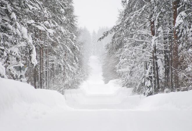 På bilde: Vinterveg gjennom skog. Bilde er hentet fra Pixabay