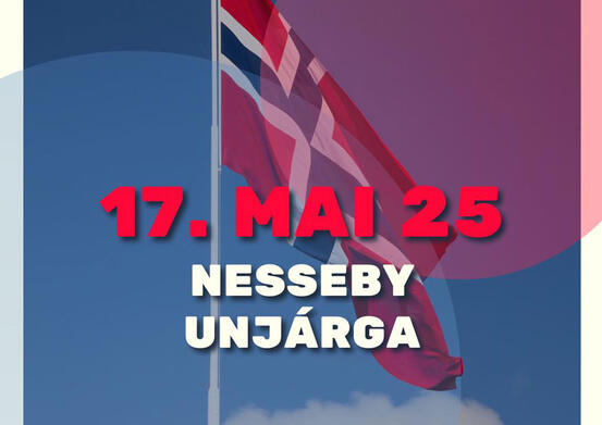 17. mai logo med flagg