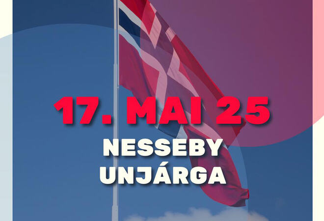 17. mai logo med flagg