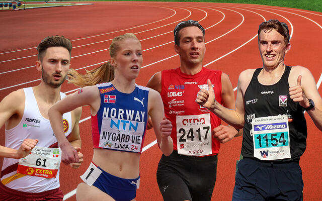 Tore Akerlie, Andrea Nygård Vie, Trygve Feidje Mjelde og Marius Øyre Vedvik er sterke 3000-meterløpere som stiller i Arne Risa Classic på Fana Stadion 14. mai. (Foto/montasje: Einar Børve/Arne Dag Myking)