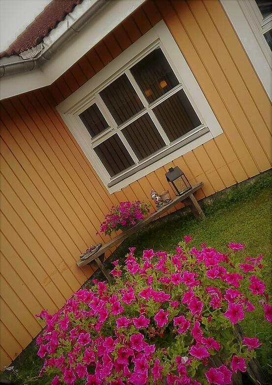 Lavangsheimen @Norunn Johansen Lavangsheimen @Norunn Johansen