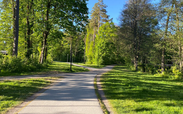 parkrun Greveskogen byr på nydelige omgivelser. (Foto: arrangøren)