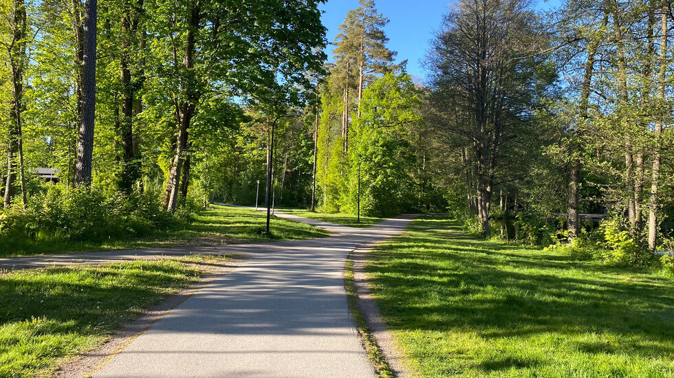 parkrun Greveskogen byr på nydelige omgivelser. (Foto: arrangøren)